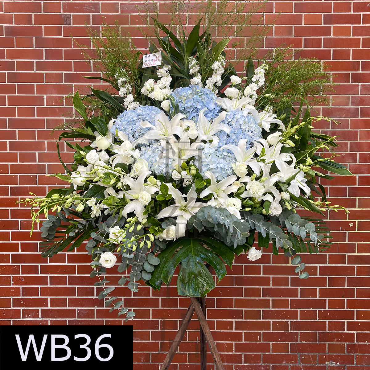 WB36 特色大花籃