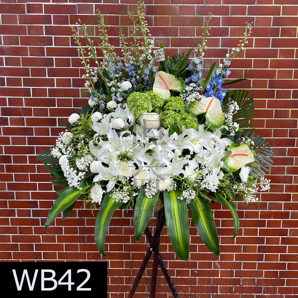 WB42 特色大花籃