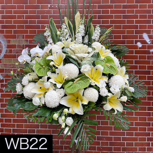 WB22 大花籃