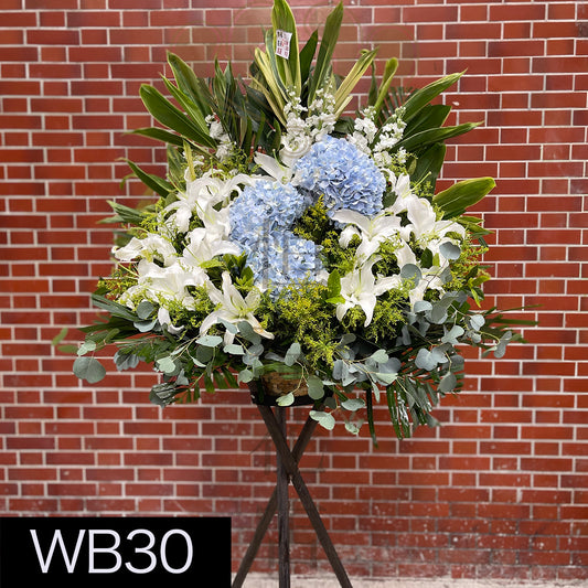 WB30 大花籃