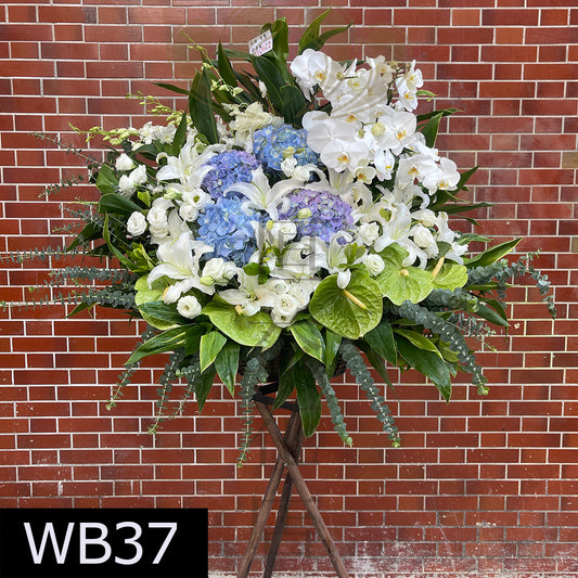 WB37 特色大花籃