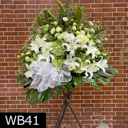 WB41 大花籃