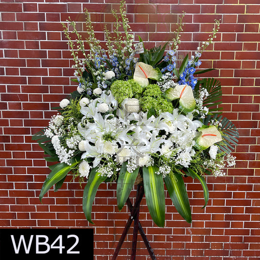 WB42 特色大花籃