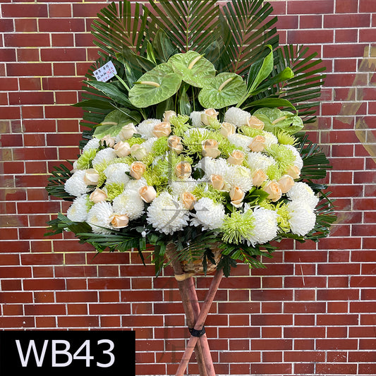 WB43 特色大花籃