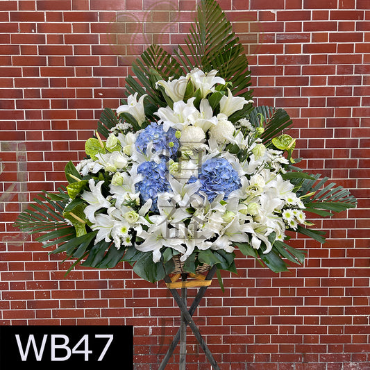 WB47 大花籃