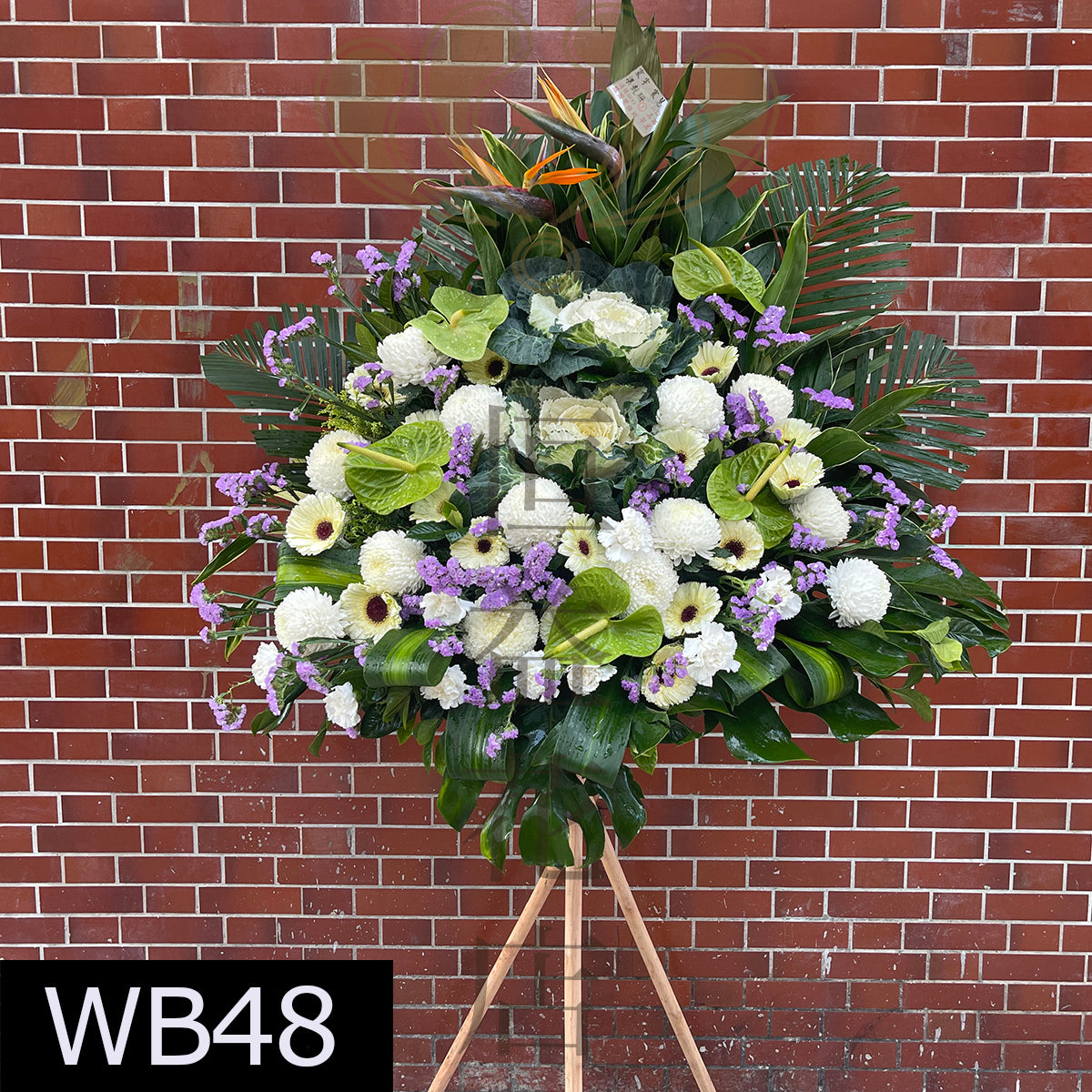 WB48 大花籃