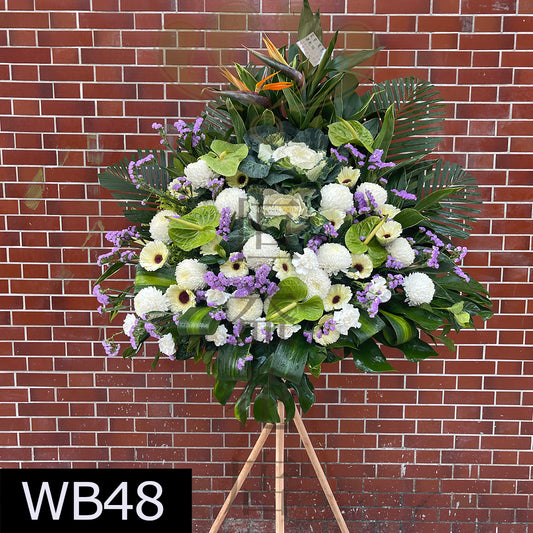 WB48 大花籃
