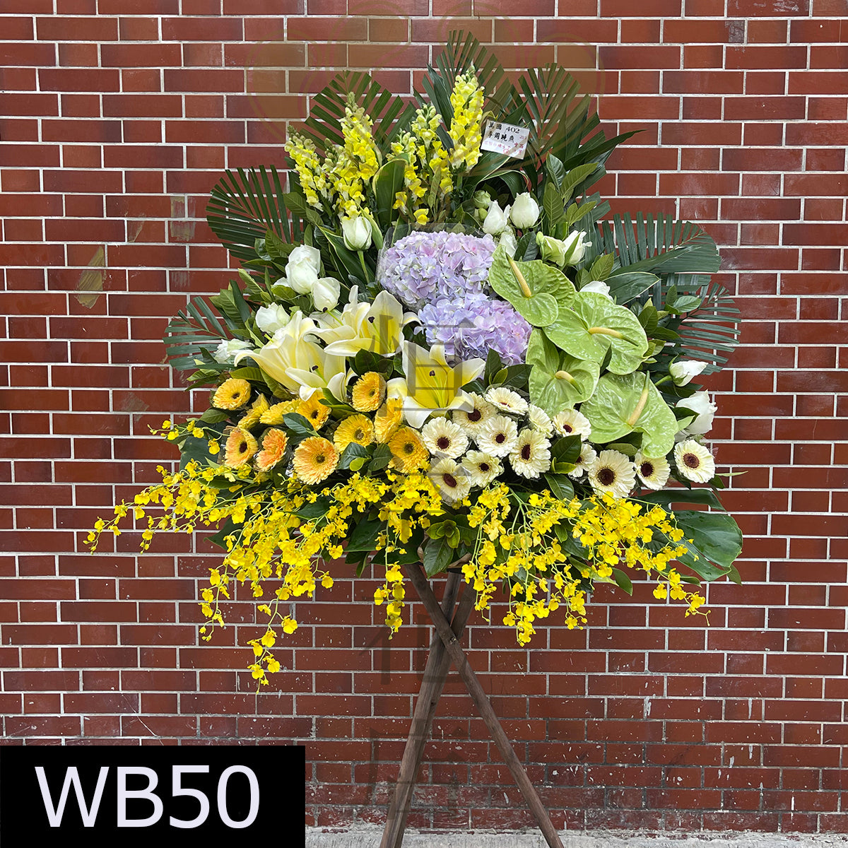 WB50 特色大花籃