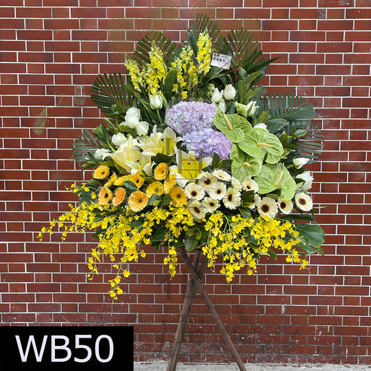 WB50 特色大花籃